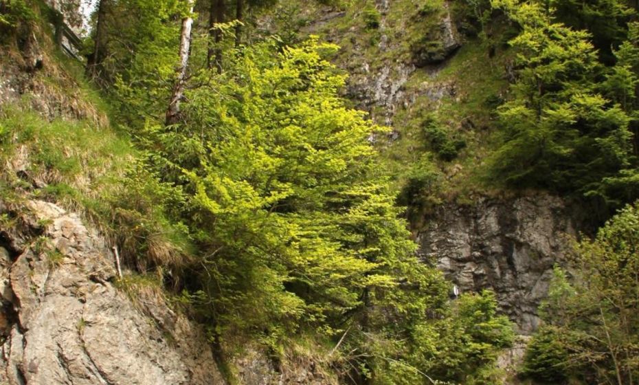 Appartement Isolde Appartement Isolde