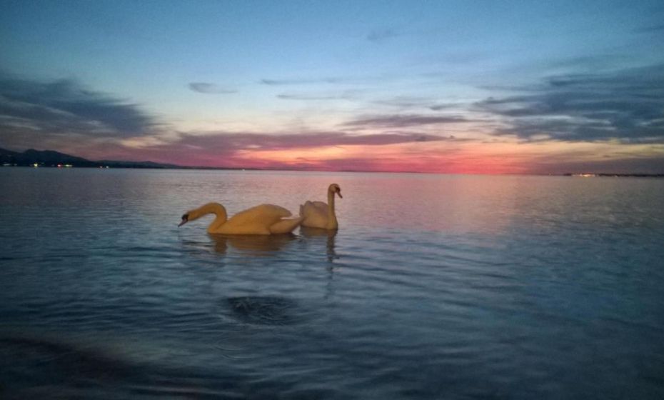 F E R I E N W O H N U N G "Am Halbenstein"