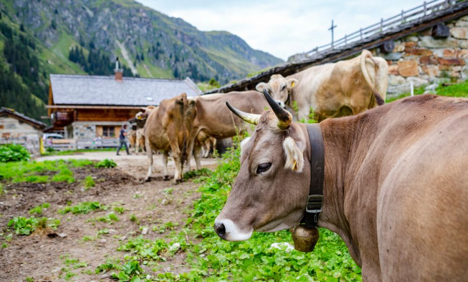 St. Agatha Bergknappenkapelle am Kristberg