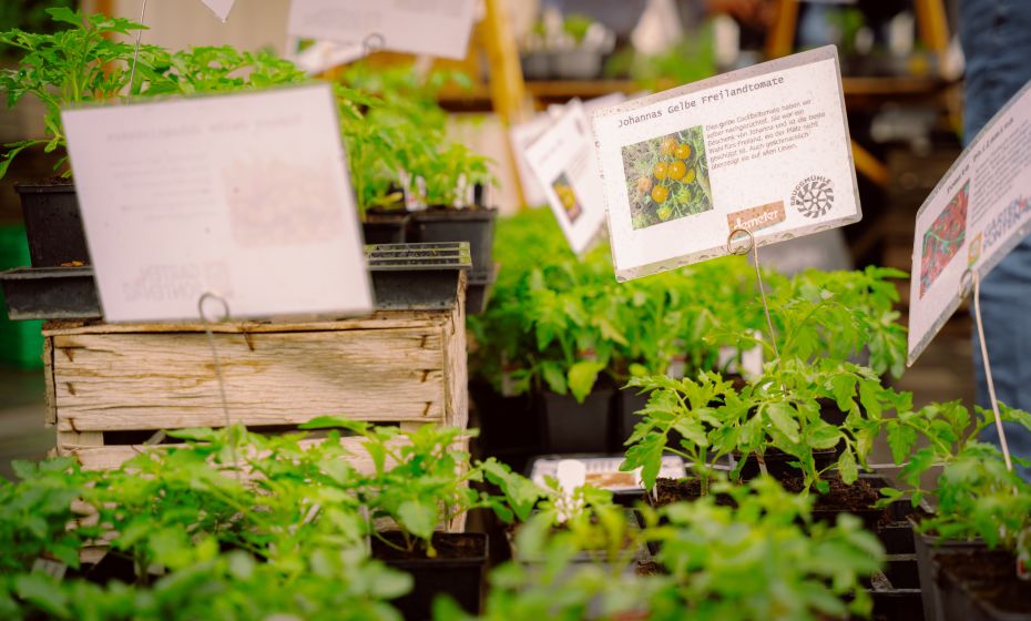 Bio-Jungpflanzenmarkt Bio-Jungpflanzenmarkt