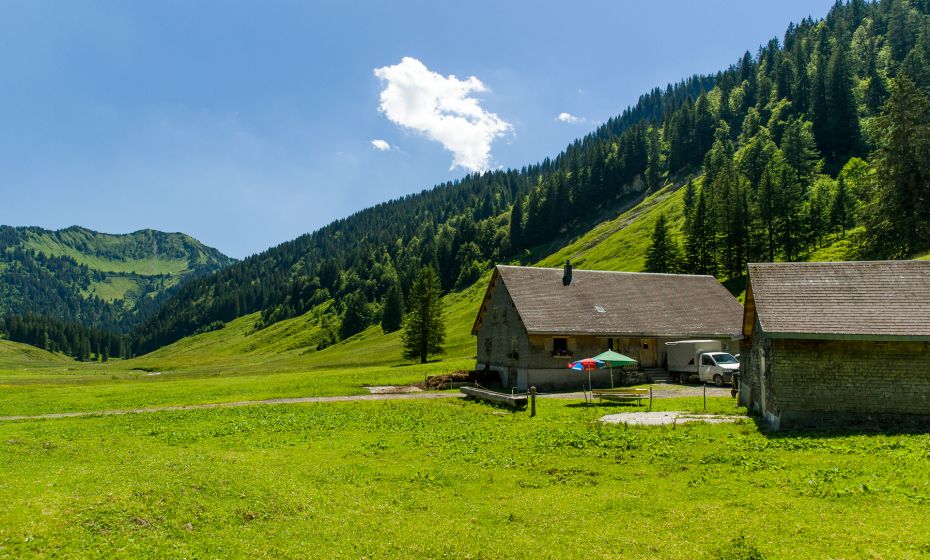 Hintergarnitzaalpe im Laternsertal Hintergarnitzaalpe im Laternsertal