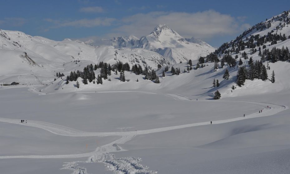 Warther - Hof 154 Warther - Hof 154