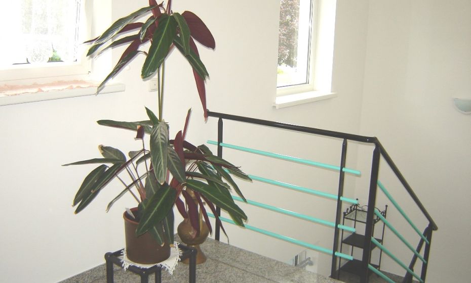 Ferienwohnung Plangger, Lauterach Ferienwohnung Plangger, Lauterach