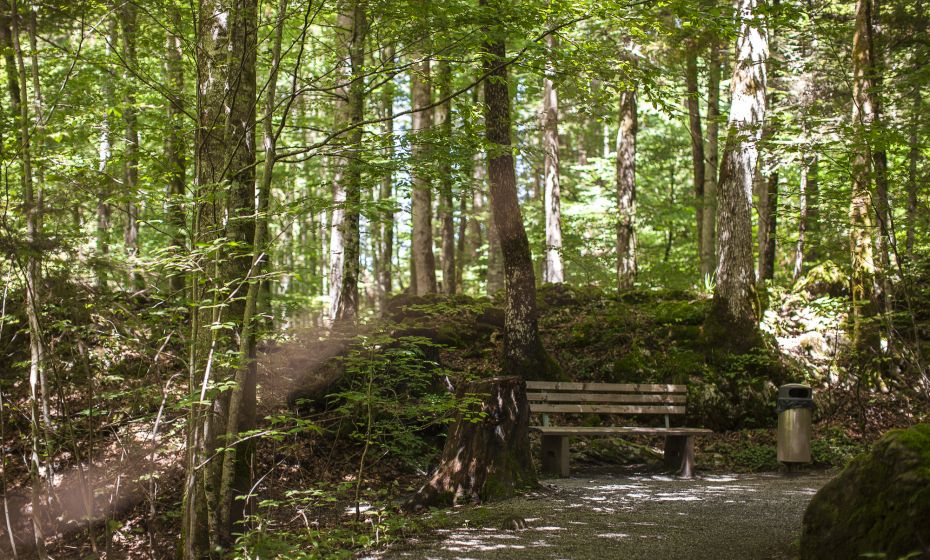 Alplochschlucht Alplochschlucht