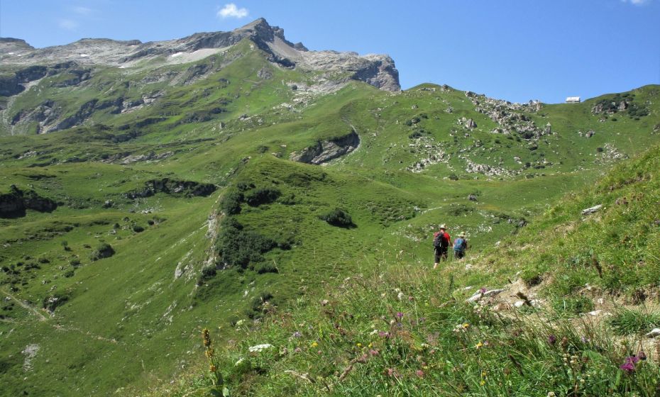 Erich Zucalli - www.guideservice.at Durch blumenreiche Wiesen führt uns der Weg Richtung Bettlerjoch. Die Pfälzerhütte rechts vom Naafkopf ist schon zu sehen