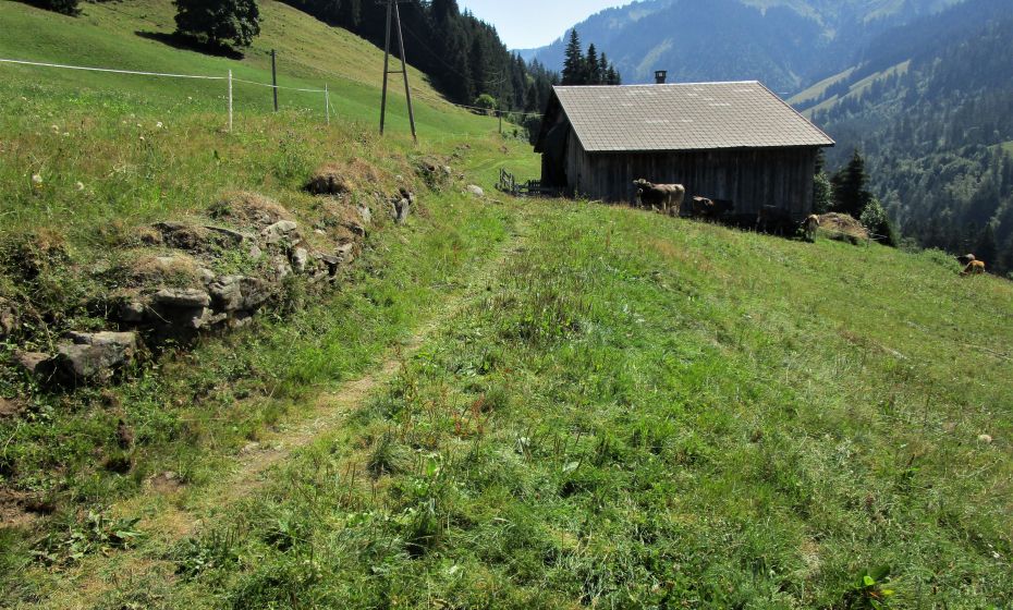 Die Alpwirtschaft garantiert das Offenhalten der Kulturlandschaft