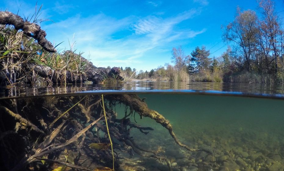 Stiplovsek Dietmar .jpg.jpeg