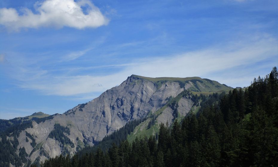 Nun öffnet sich auch der Blick nach Norden. Der markante Hohe Freschen ist Grenze zu Dornbirn Nun öffnet sich auch der Blick nach Norden. Der markante Hohe Freschen ist Grenze zu Dornbirn