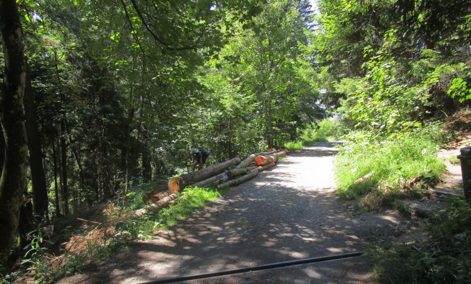 Aufgepasst. Wegabzweigungen mÃ¼ssen manchmal direkt gesucht werden