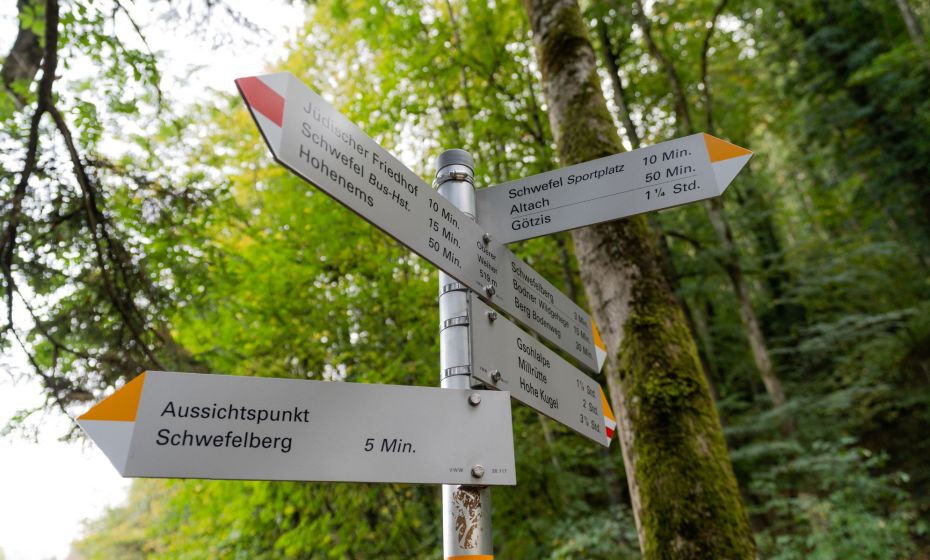 Stiplovsek Dietmar .jpg.jpeg