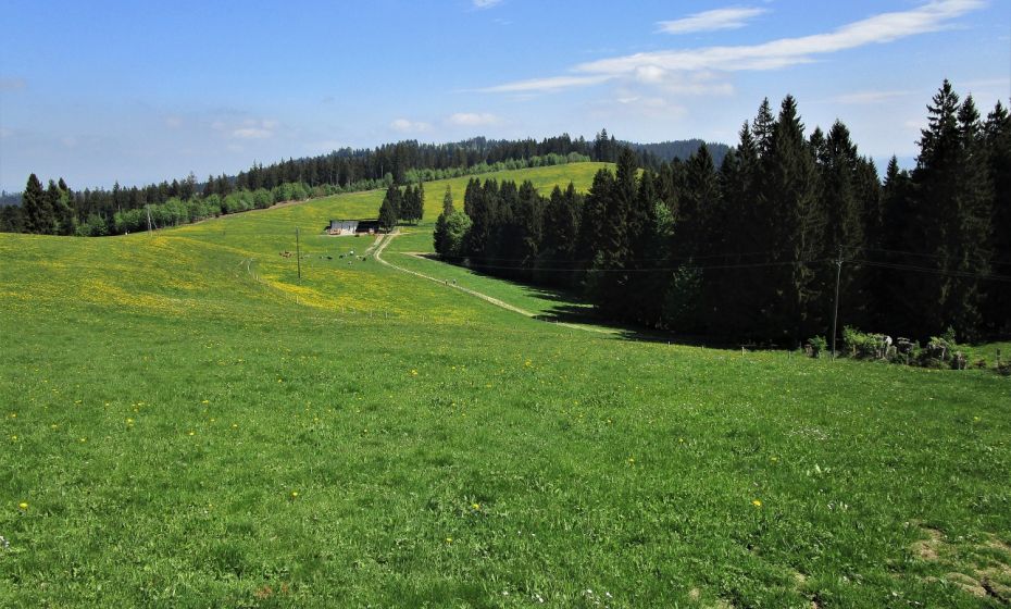 GemÃ¼tlich fÃ¼hrt der Weg Ã¼ber den sanften HÃ¶henrÃ¼cken zum FÃ¼rnberg