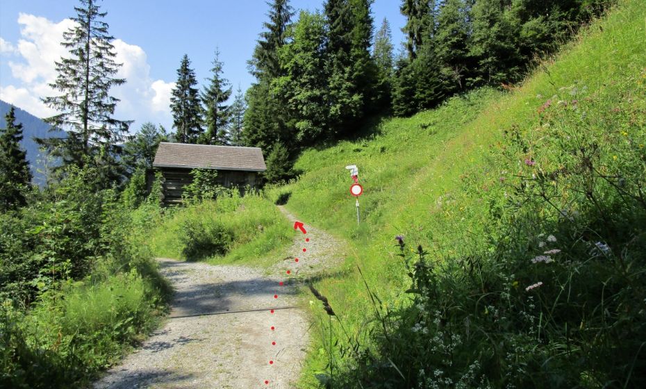 Bei dieser Abzweigung den oberen Weg ohne HÃ¶henverlust wÃ¤hlen.