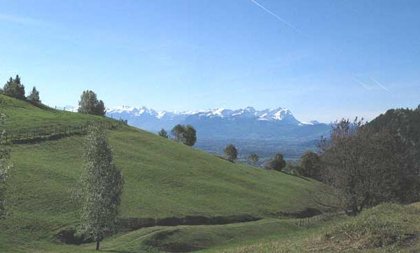 Geserbergrundweg crossroad - here it leads on to Ahornach