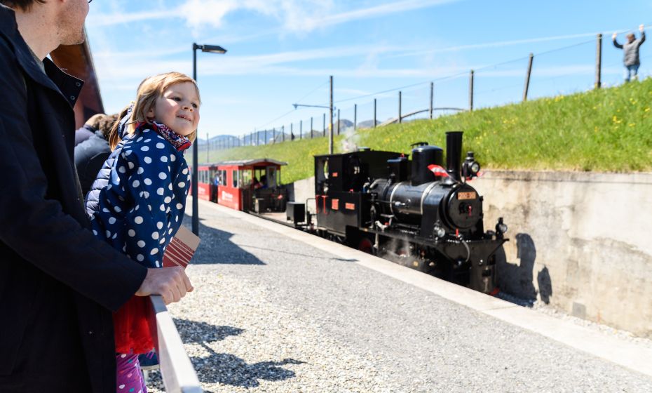 Rhein-Schauen-Lustenau 02 (c)MATTHIAS_RHOMBERG