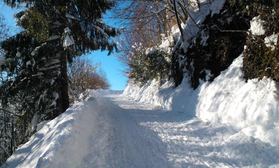 F E R I E N W O H N U N G "Am Halbenstein"