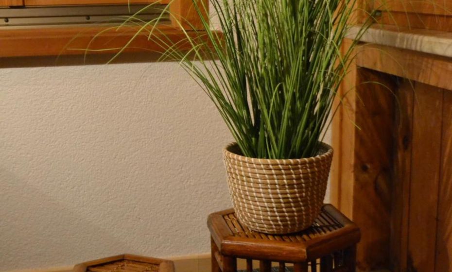 Sunnaschi Appartements - Wohnungen oder gesamt als "HÃ¼tte"