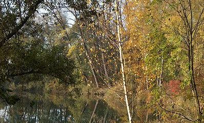 Auch im Herbst ist es am Alten Rhein schÃ¶n
