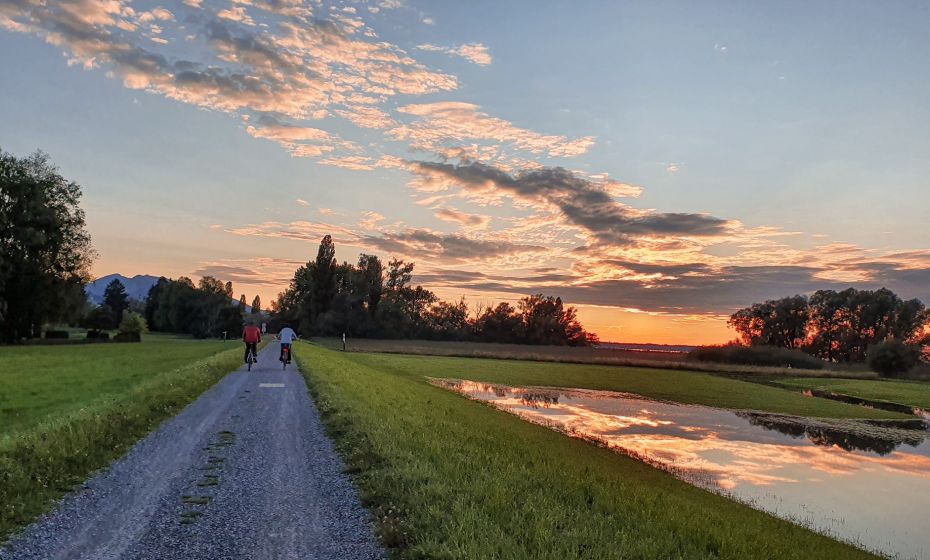 Bodensee-Vorarlberg Tourismus Radfahren Rheindelta