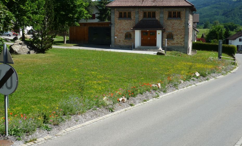 Gemeinde Göfis - Gemeinde Göfis Ansicht Blührand Vereinshauswiese