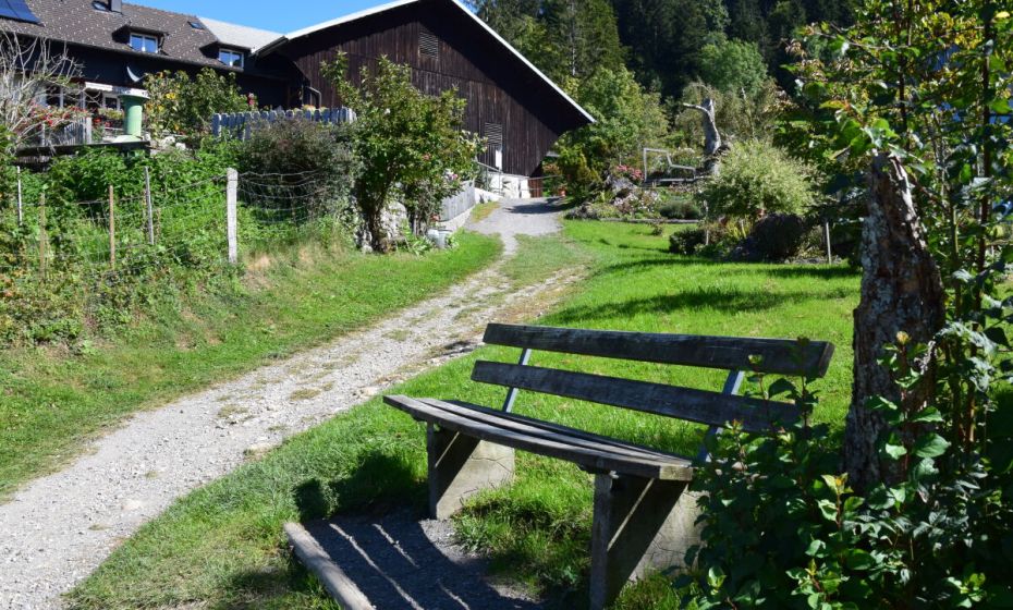 Fewo am Pfänder, Lochau, Wanderweg Fewo am Pfänder, Lochau, Wanderweg