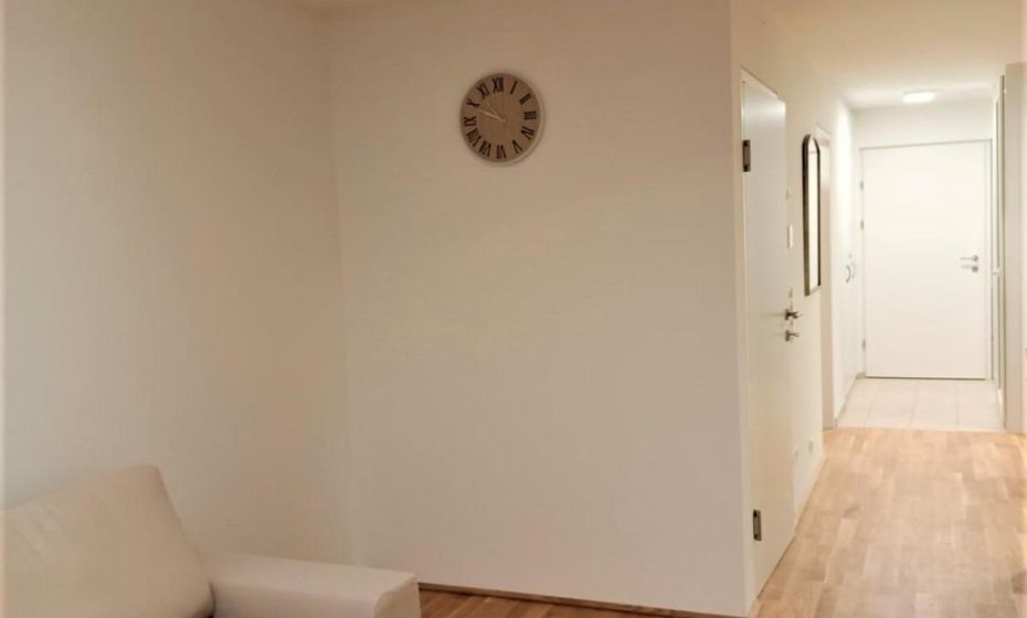 Neu erstellte Wohnung mit Balkon in Hard