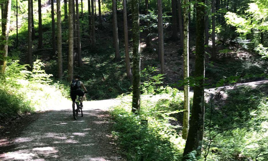 Radtour Dornbirn GÃ¼tle Sattelalpe richtung-durchstich