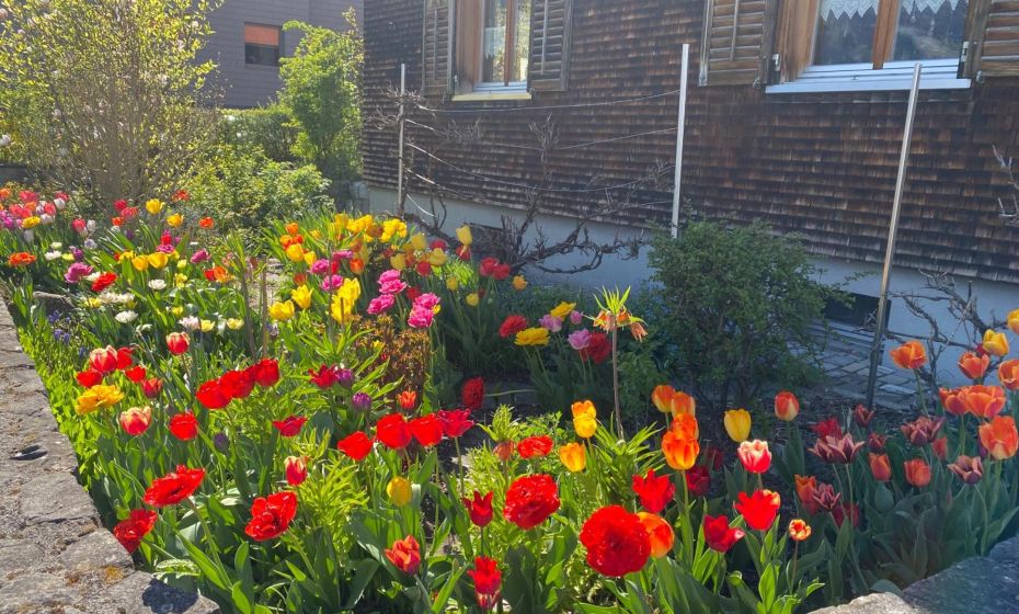 mama käthe - Apartments mama käthe - Apartments