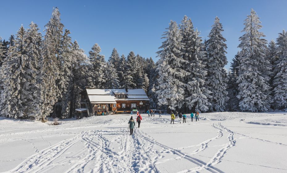Naturpicknick Bödele Dornbirner Hütte Naturpicknick Bödele Dornbirner Hütte