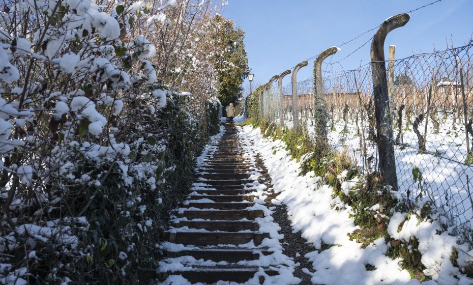 Wildpark Feldkirch Weinbergstiege