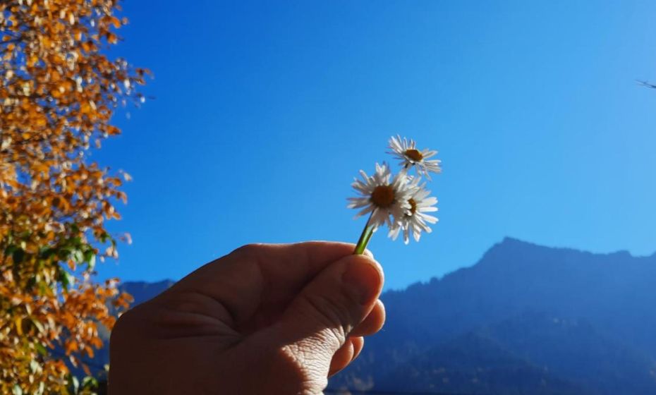 Sunnaschi Appartements - Wohnungen oder gesamt als "HÃ¼tte"