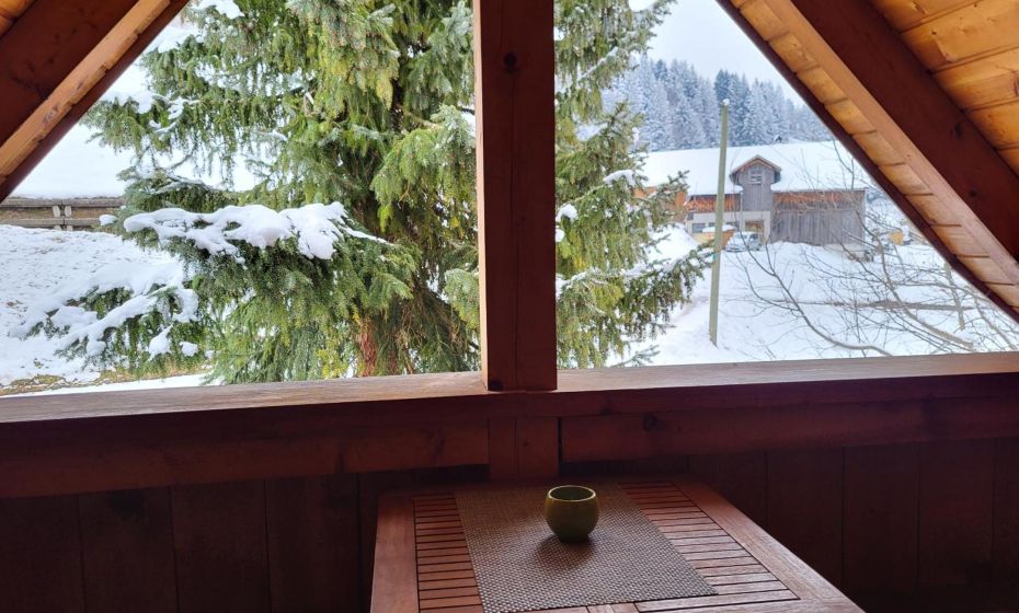 Sunnaschi Appartements - Wohnungen oder gesamt als "HÃ¼tte"