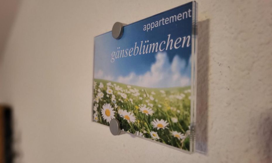 Sunnaschi Appartements - Wohnungen oder gesamt als "HÃ¼tte"