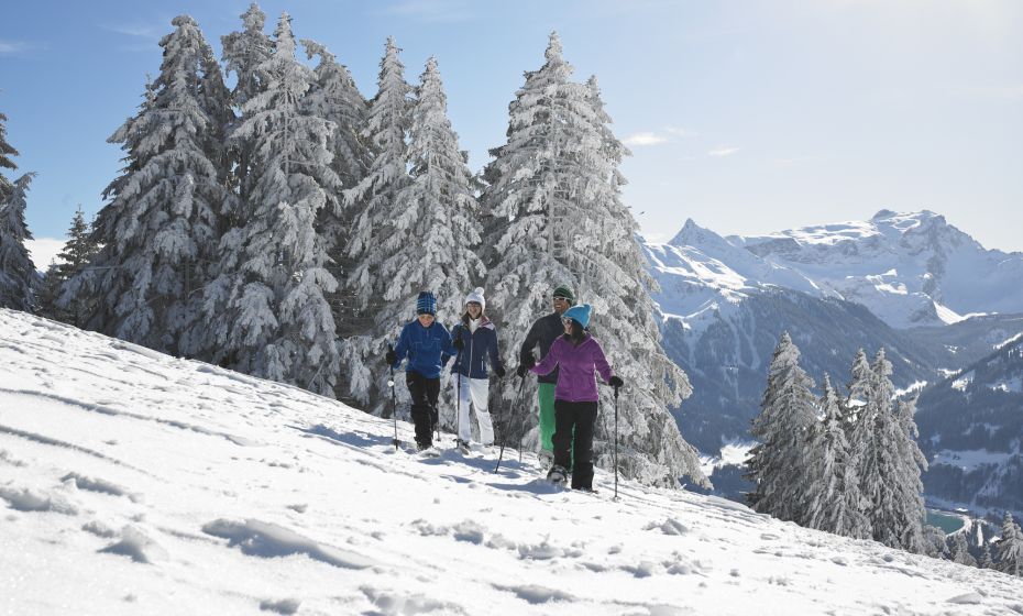 Schneeschuhwandern am BartholomÃ¤berg