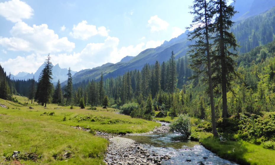 Hinteres Silbertal im Europaschutzgebiet Verwall Hinteres Silbertal im Europaschutzgebiet Verwall