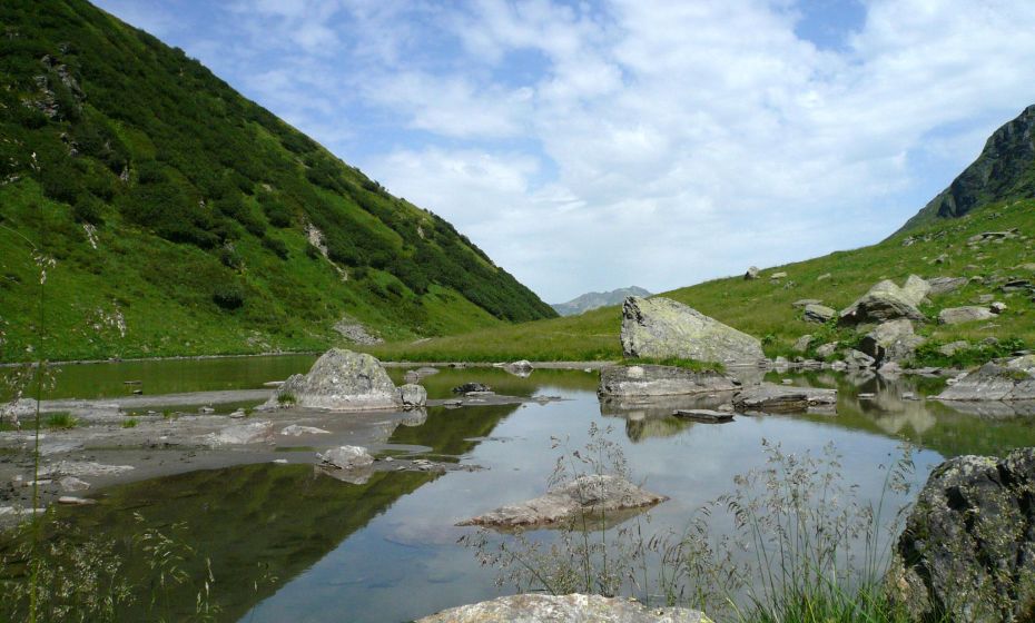 Seressee