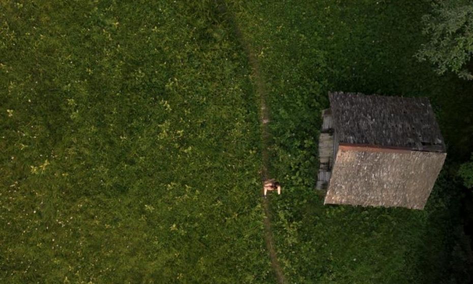 Peterhof Chalets Peterhof Chalets