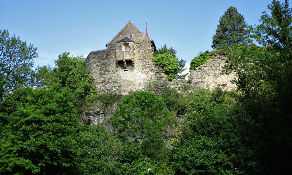 Erich Zucalli - Erich Zucalli / www.guideservice.at Die Burgruine Hohenbregenz mit ....
