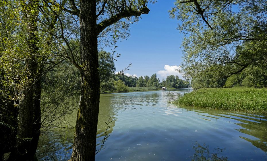 Alter Rhein Alter Rhein