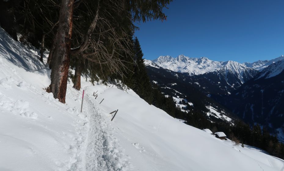Mountainbiker im Bereich Alpe Kanis Mellau