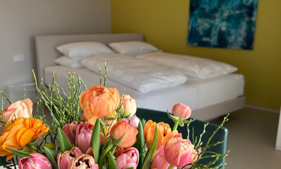 Seeblick Appartements Henle