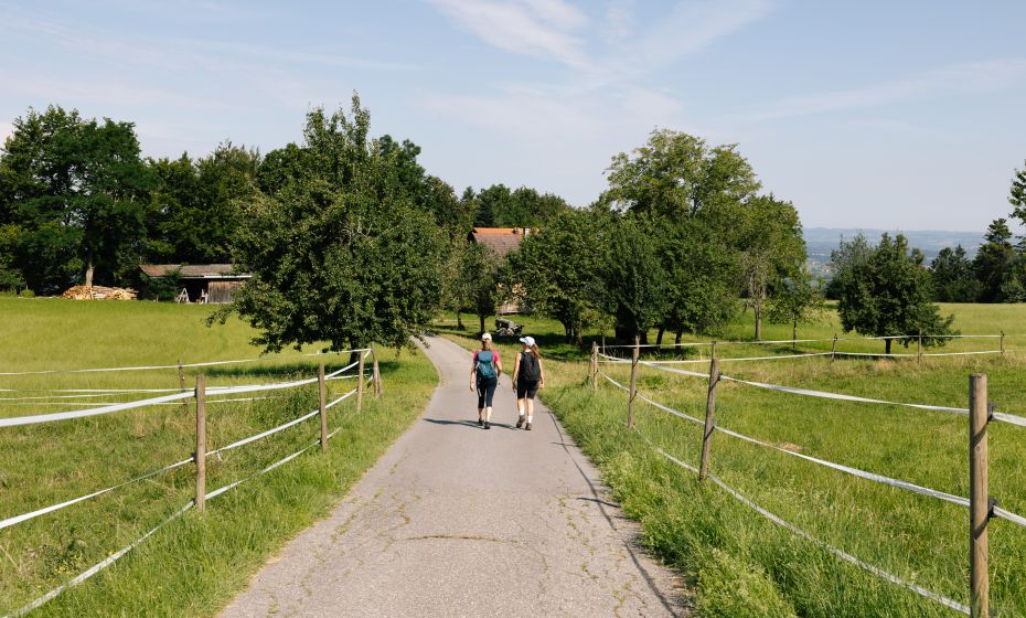 Wandern in Hörbranz © Jessica Lerchenmüller, Bodensee-Vorarlberg Tourismus  Wandern in Hörbranz