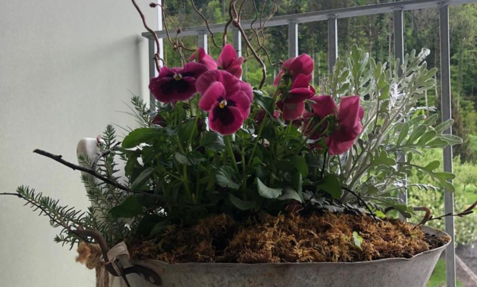 Apartments "Am Ardetzenberg"