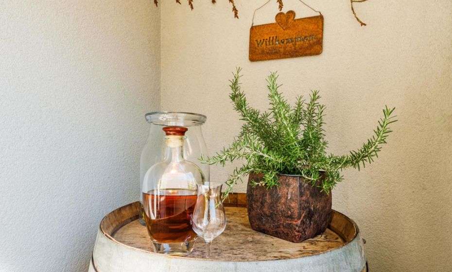 Bregenzer Traum am Bodensee inkl FahrrÃ¤der