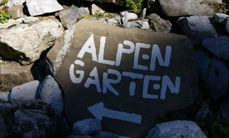 Alpengarten Alpengarten