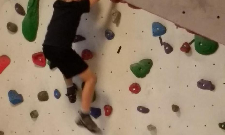 Ferienhaus Haus im Garten