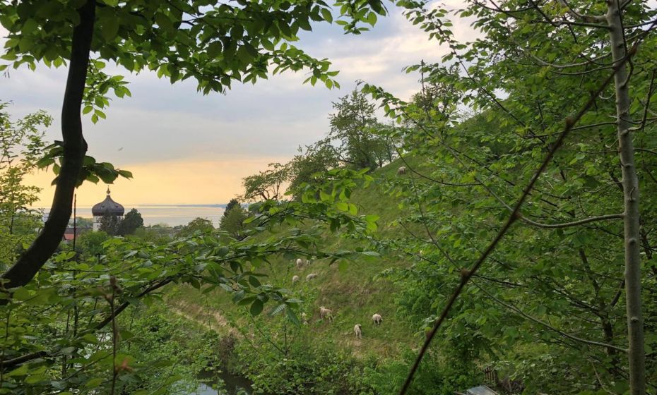 Haus am Felsen, Ferien in Vorarlberger Architektur