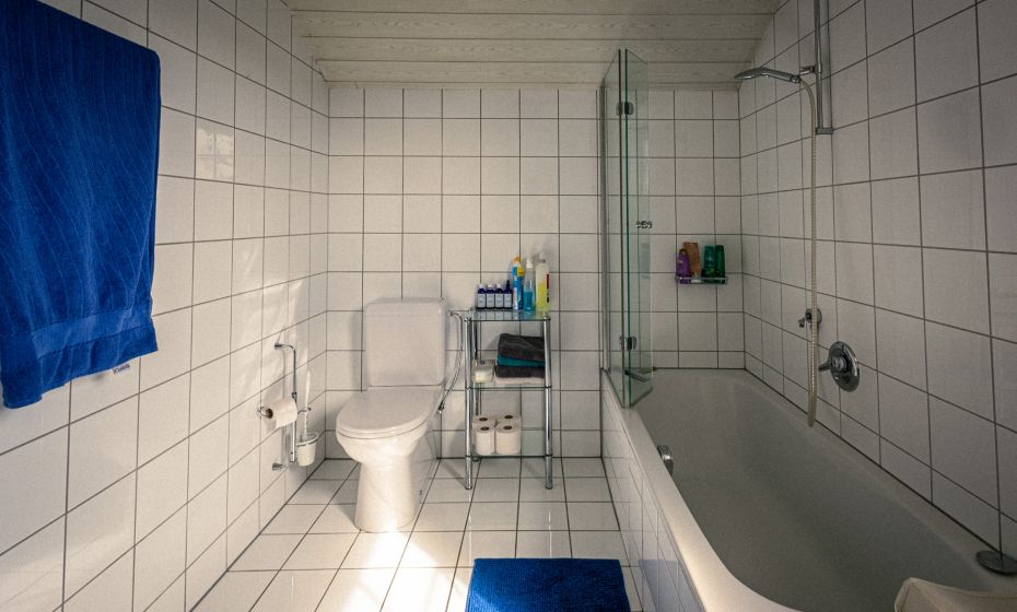 Theresia Konzett Ferienwohnung Frastanz, Badezimmer Â© -