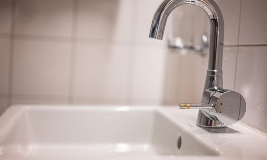 SchÃ¤fle Feldkirch-Altenstadt