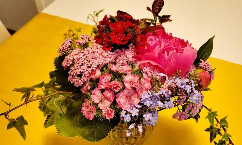 Apartmenthaus Sonnenschein