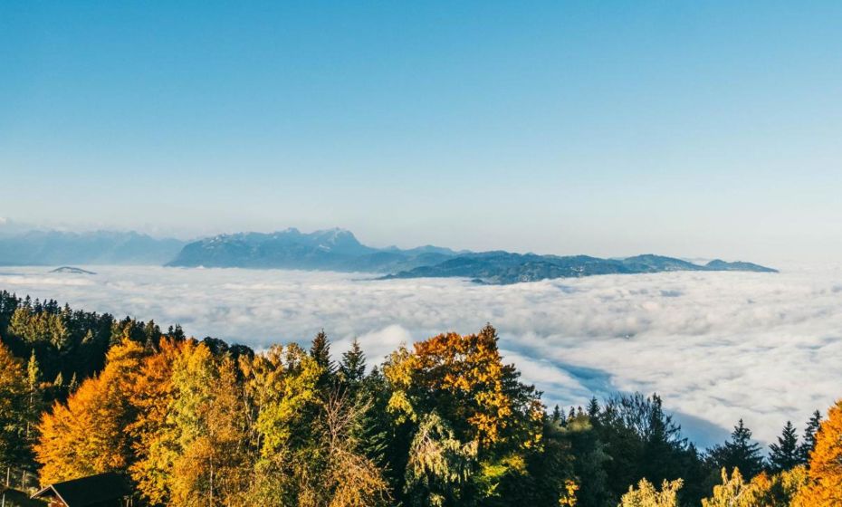 Seeblick Bregenz - mit Parkgarage Seeblick Bregenz - mit Parkgarage